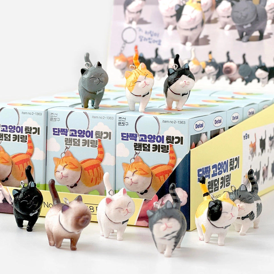 Blind Box Porte-clé Chat