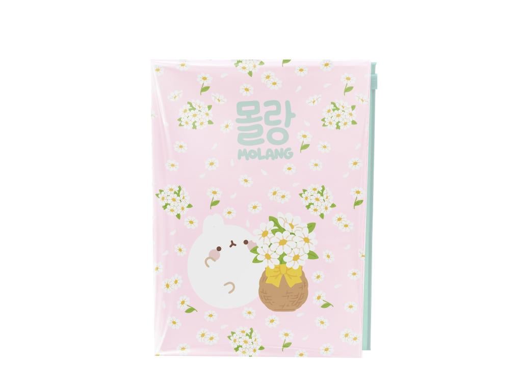 Notebook avec Pochette Molang