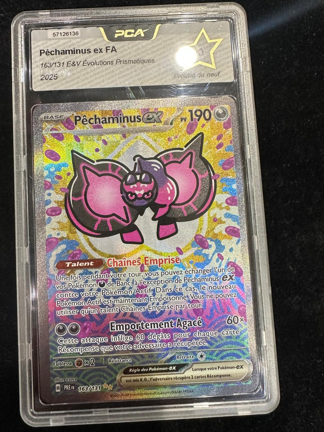 Pechaminus 163/131 PCA 9