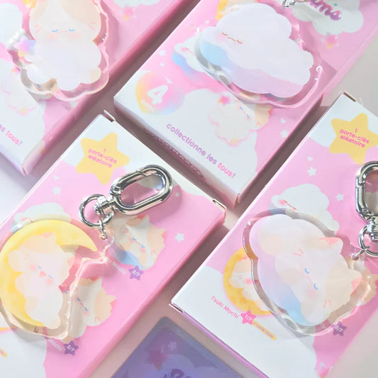 Blind Box Porte-clé Hoshi dreams Momo Momonaade