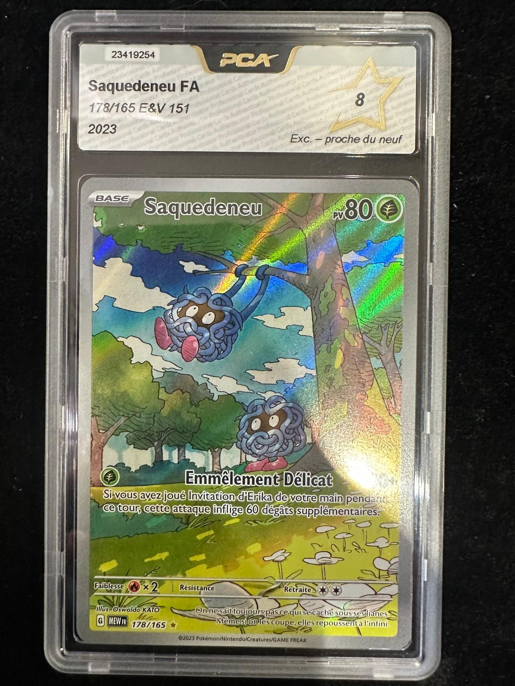 Saquedeneu Ar 178/165 PCA 8