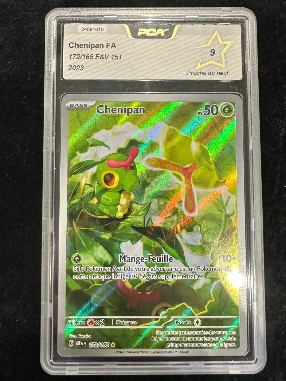 Chenipan 172/165 PCA 9