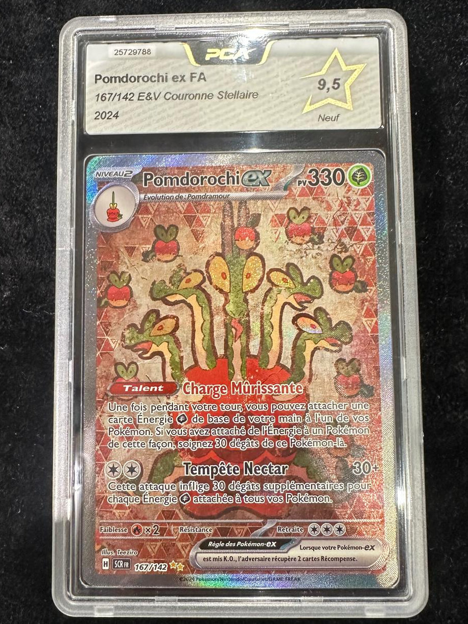 Pomdorochi 167 PCA 9,5