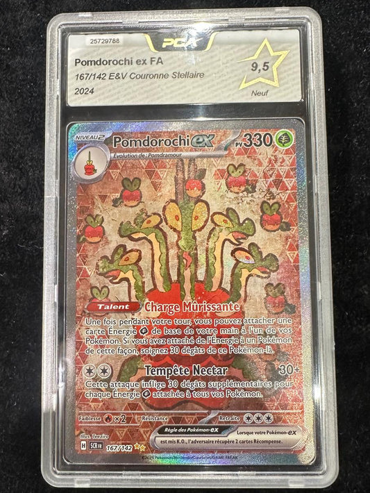 Pomdorochi 167 PCA 9,5