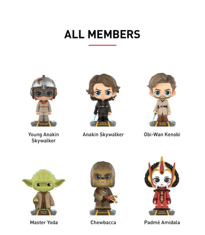 Star Wars Bobblehead Series Figures
