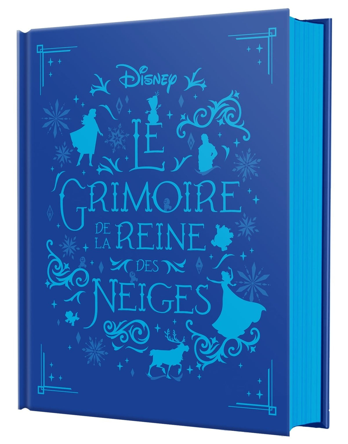 Le grimoire de la reine des neiges
