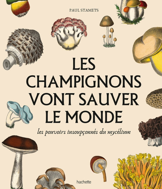 Les champignons vont sauver le monde