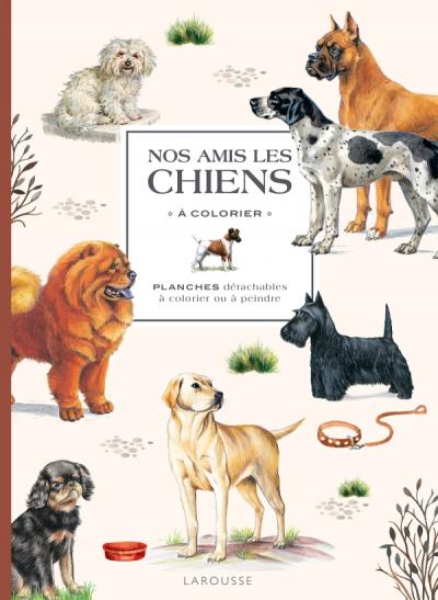 Nos amis les chiens à colorier